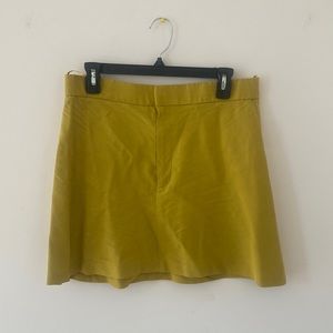 Zara Mini Skirt